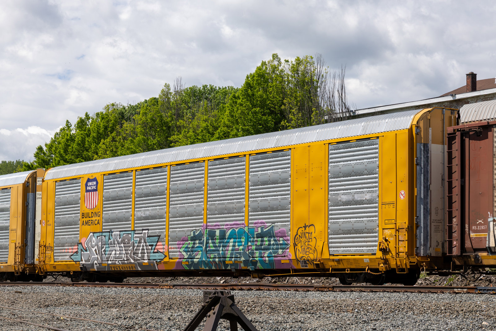 TTGX 699009