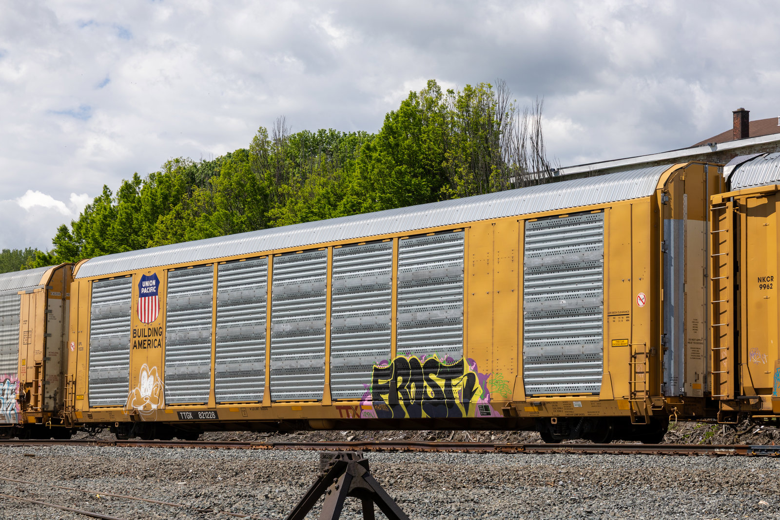 TTGX 821228