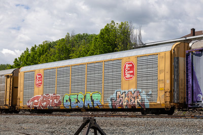 TTGX 696471