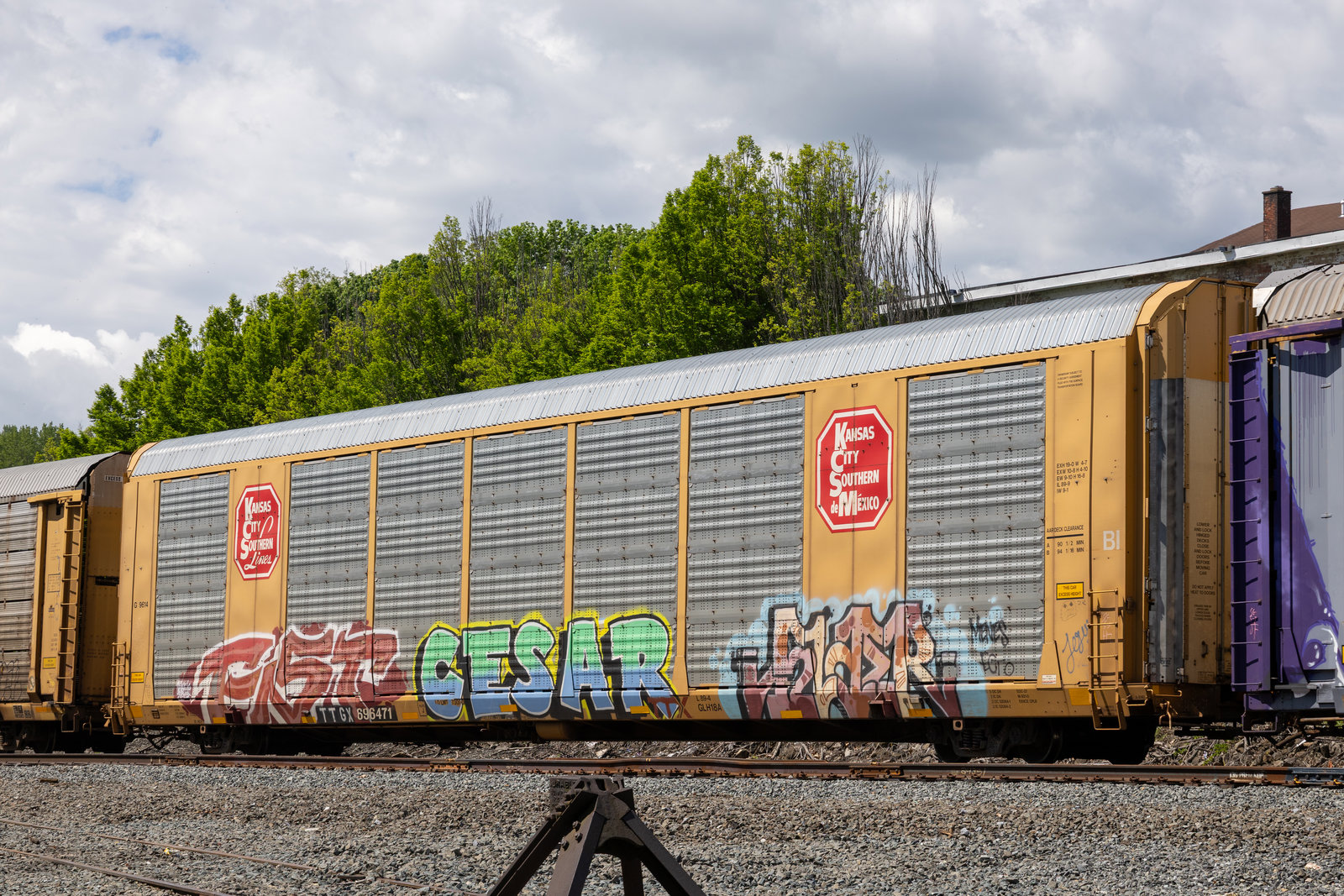 TTGX 696471