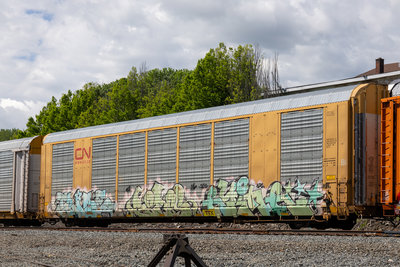 TTGX 697086