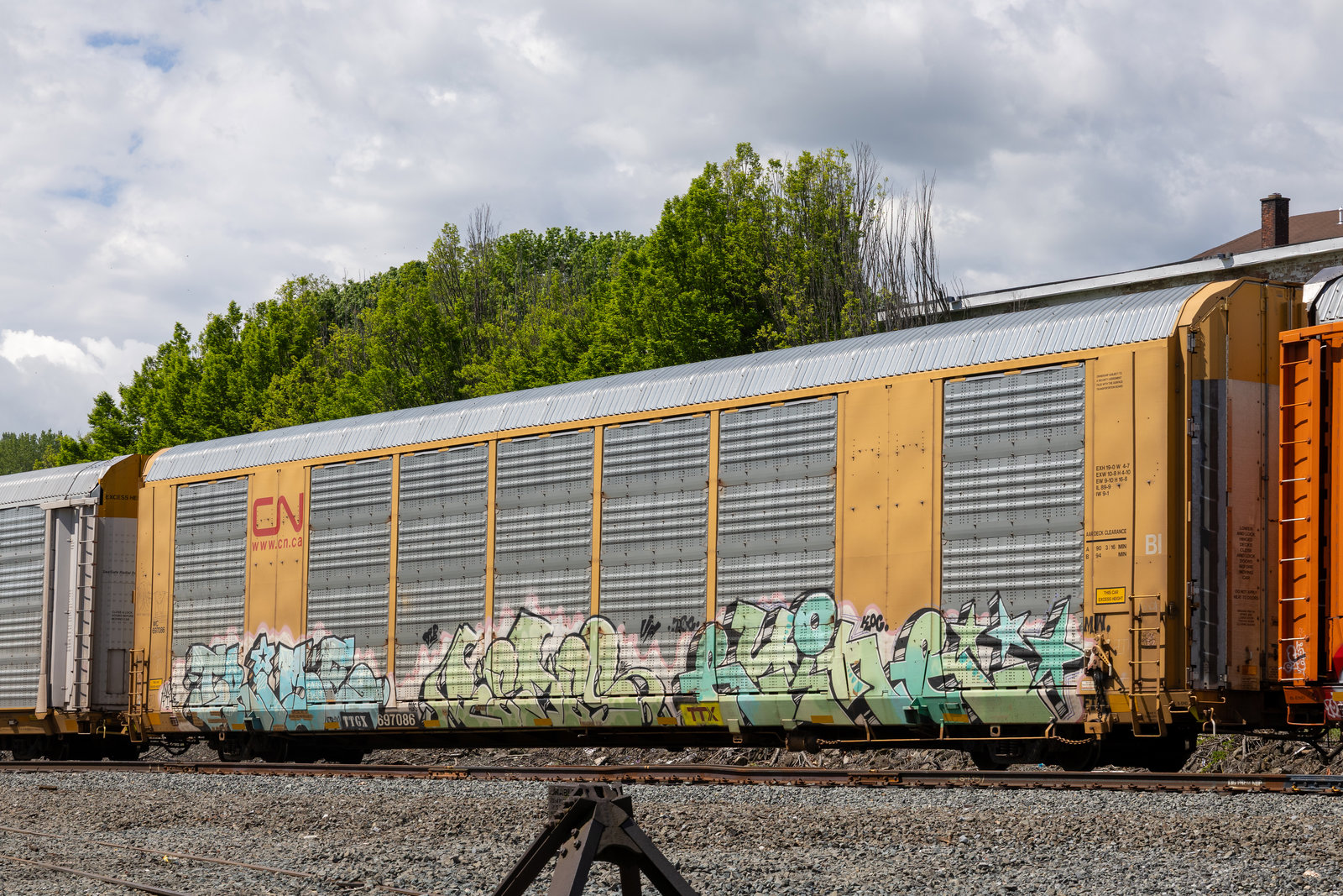 TTGX 697086