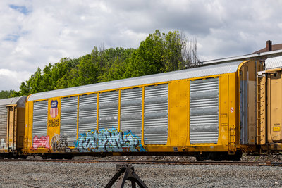 TTGX 699484