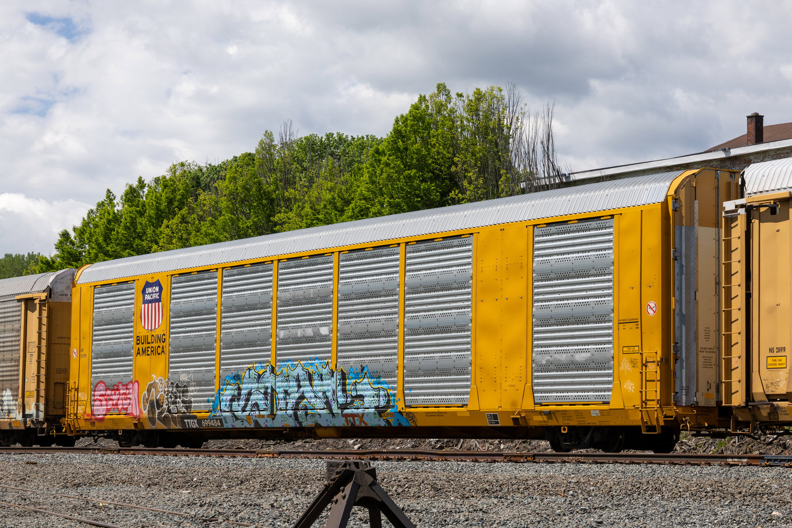 TTGX 699484