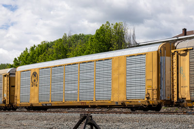 TTGX 823018