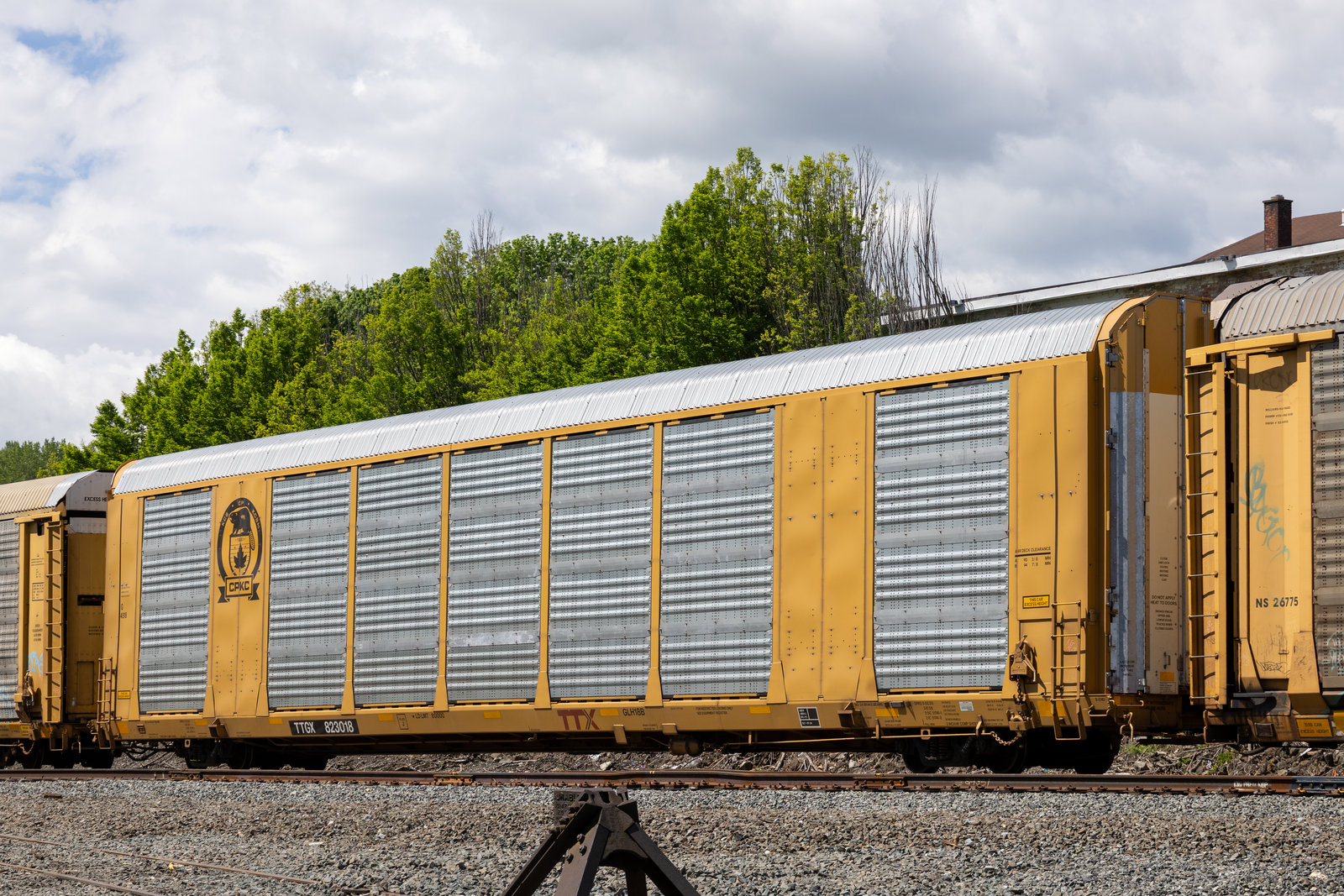 TTGX 823018