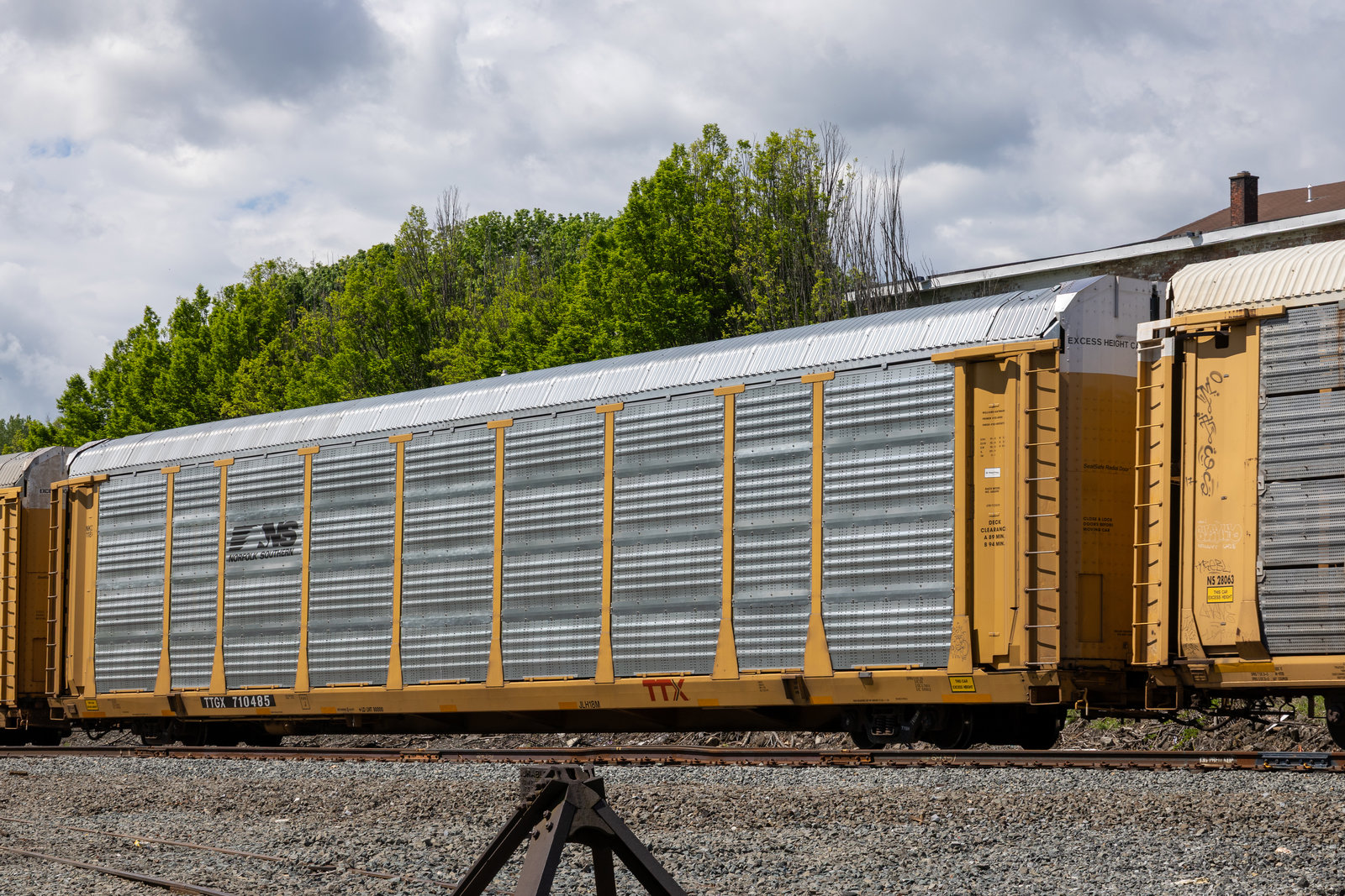 TTGX 710485