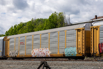 TTGX 710694