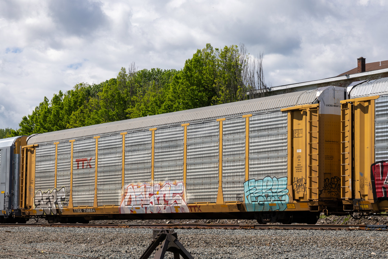 TTGX 710694