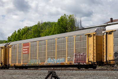 TTGX 988833