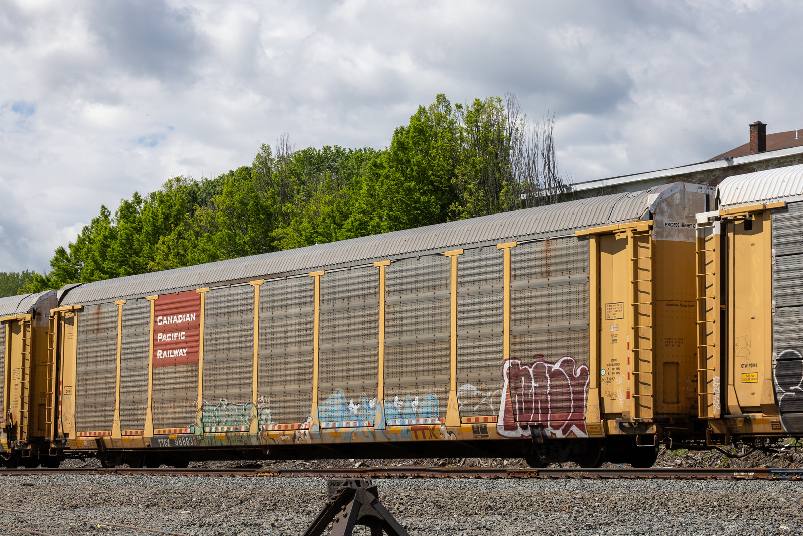 TTGX 988833