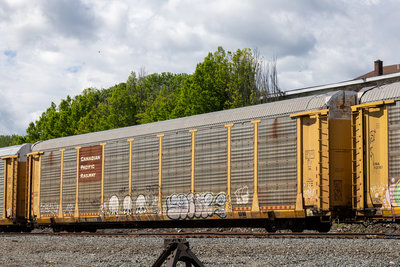 TTGX 988879