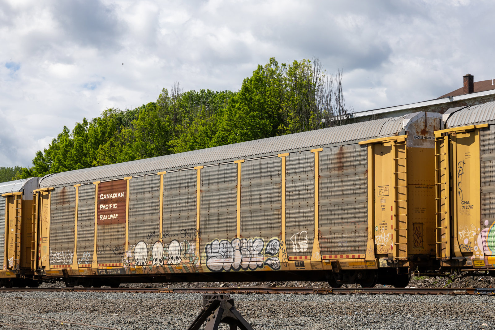 TTGX 988879