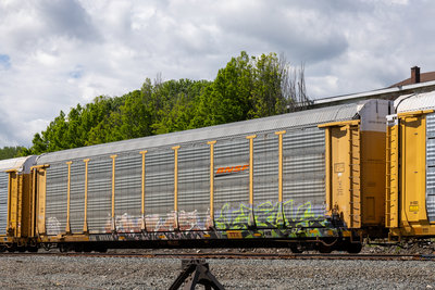 TTGX 975518