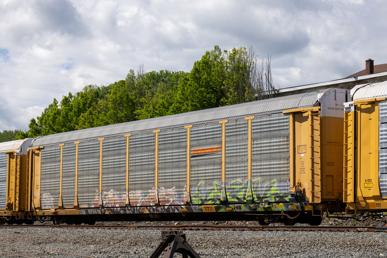 TTGX 975518