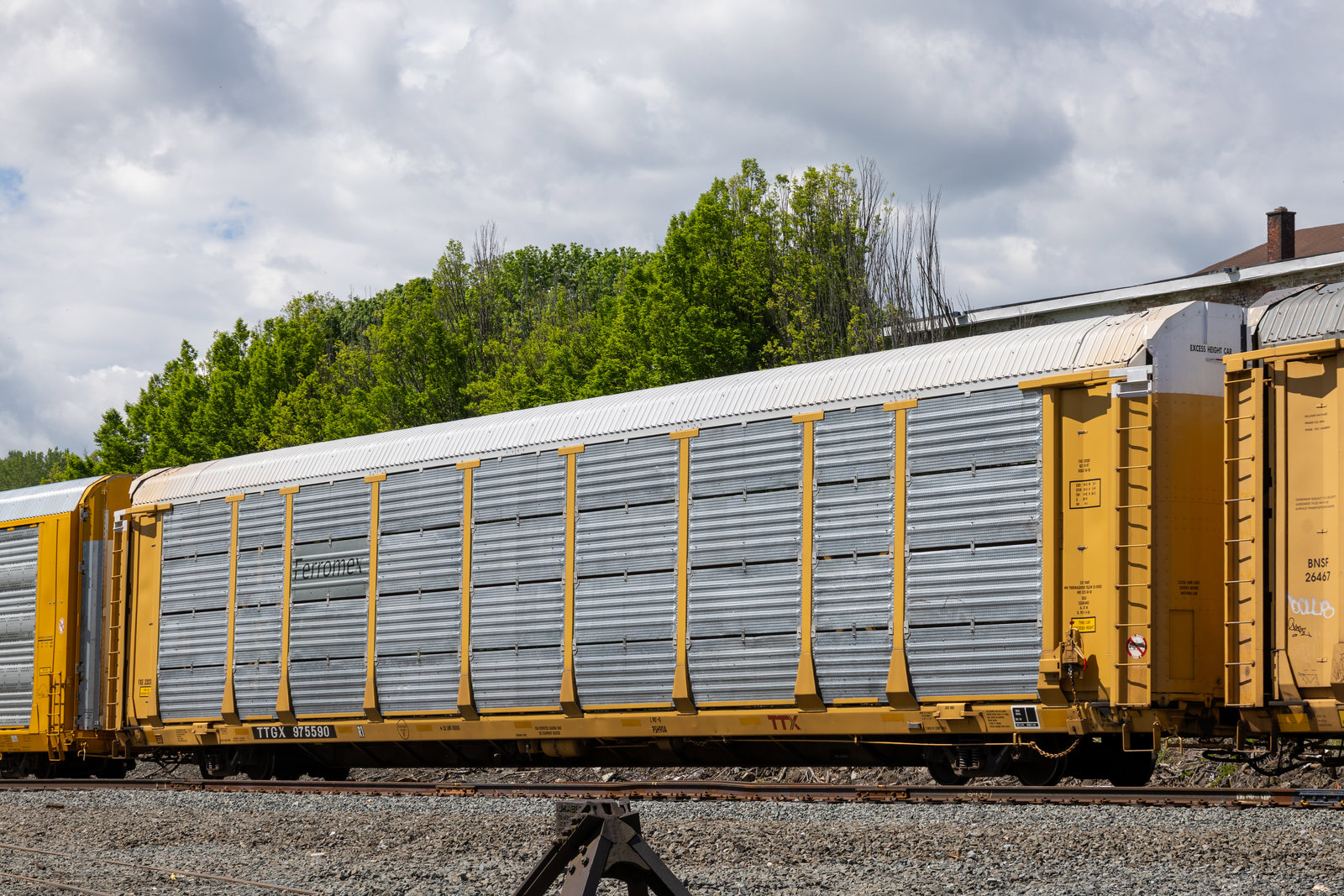 TTGX 975590