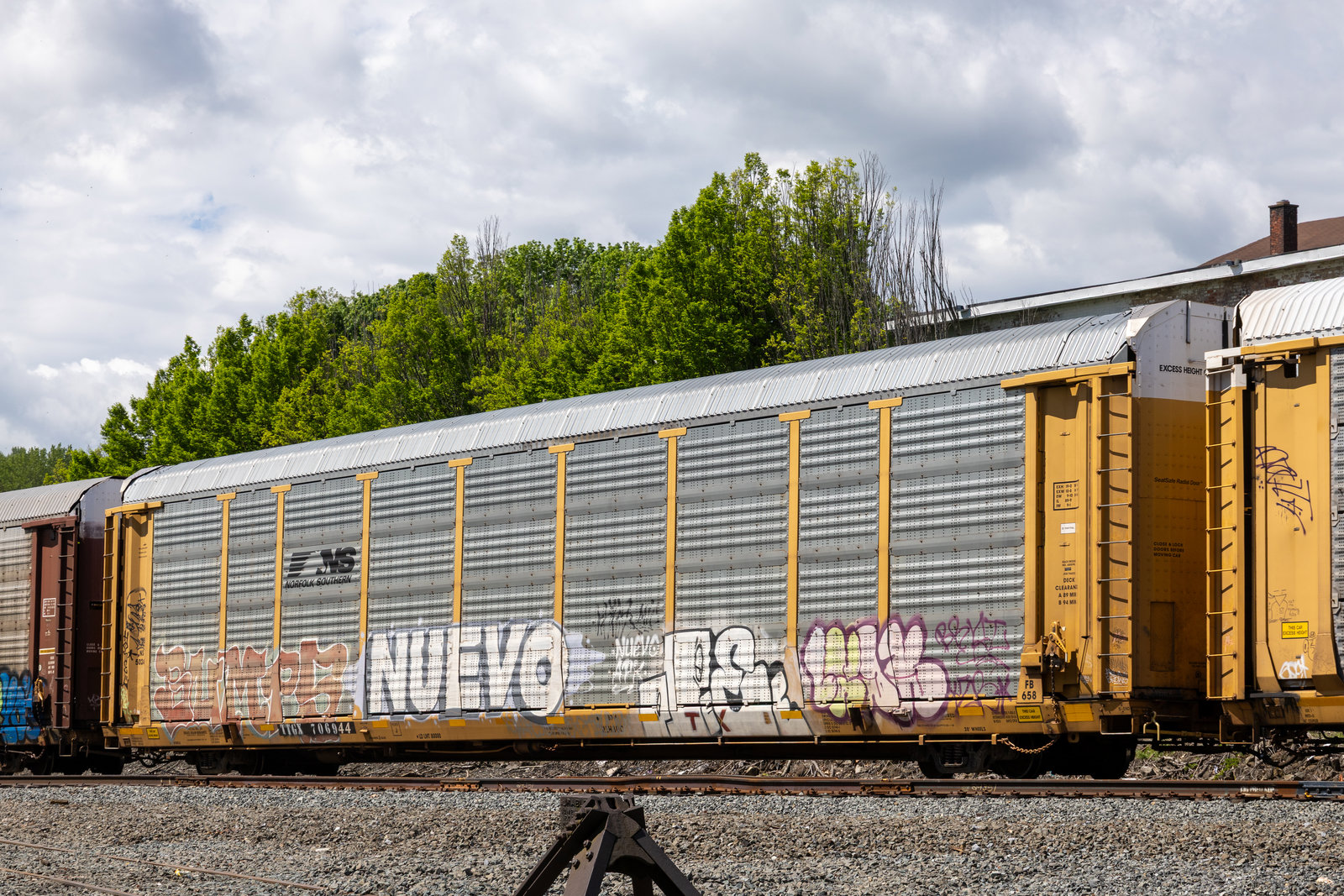 TTGX 706944