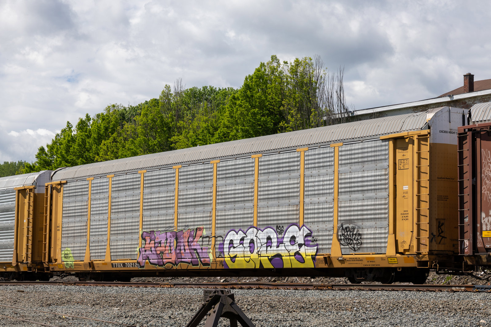 TTGX 702129