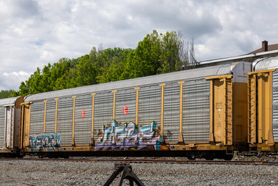TTGX 990398