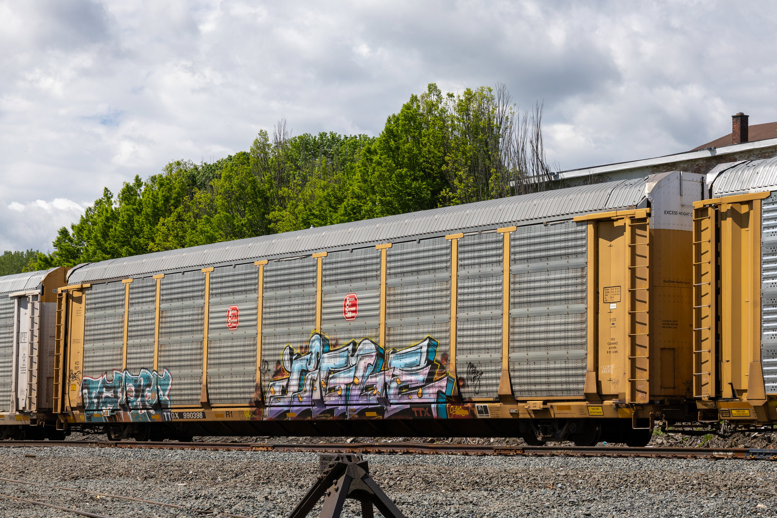 TTGX 990398