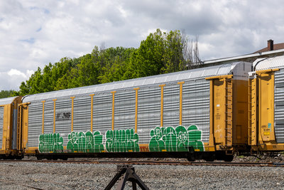 TTGX 988768