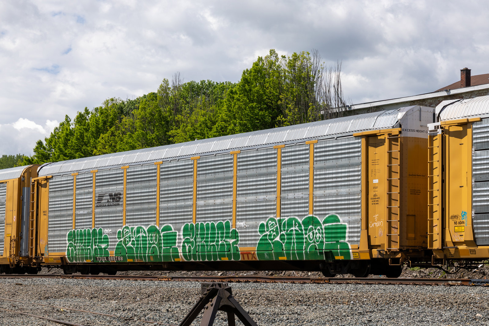 TTGX 988768