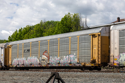 TTGX 942319