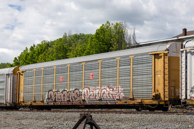 TTGX 991600