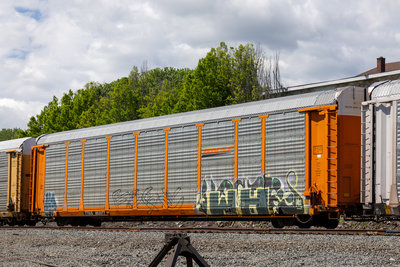 TTGX 953177