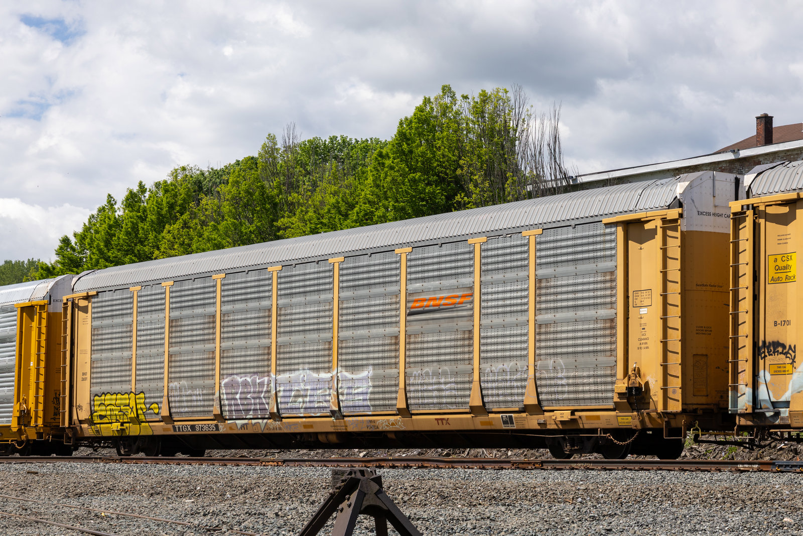 TTGX 973635