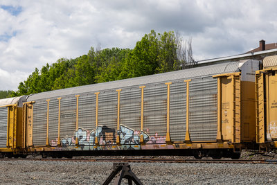 TTGX 159607