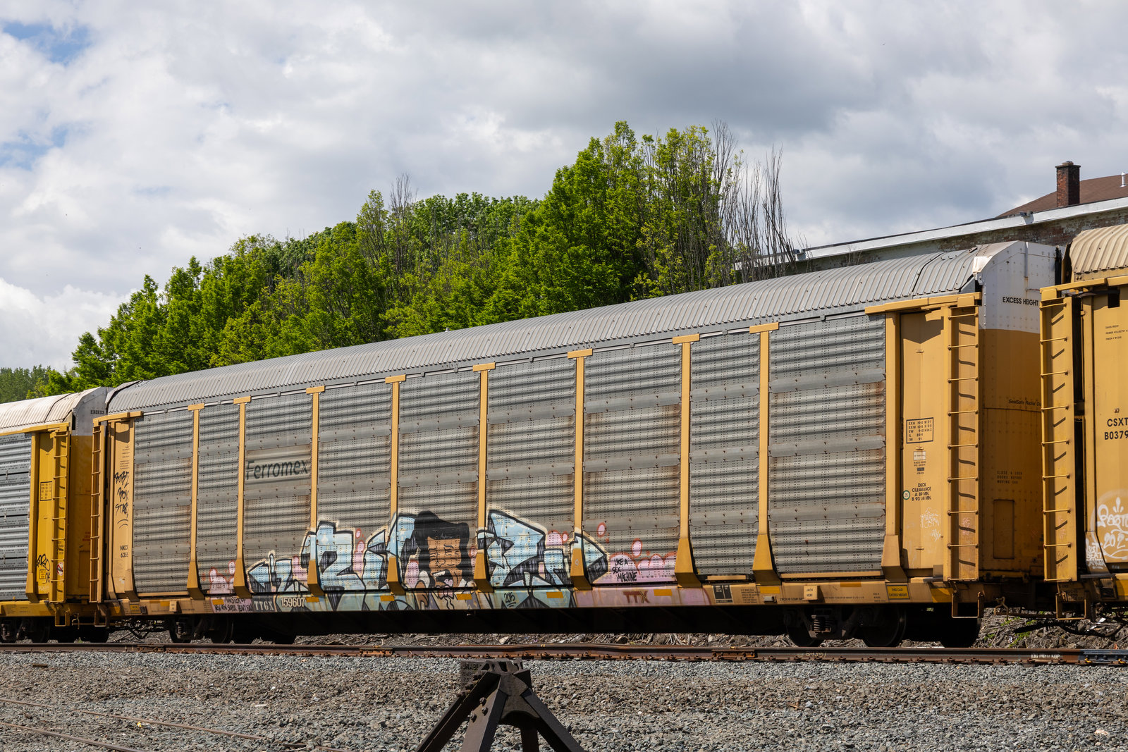 TTGX 159607