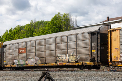 TTGX 983026