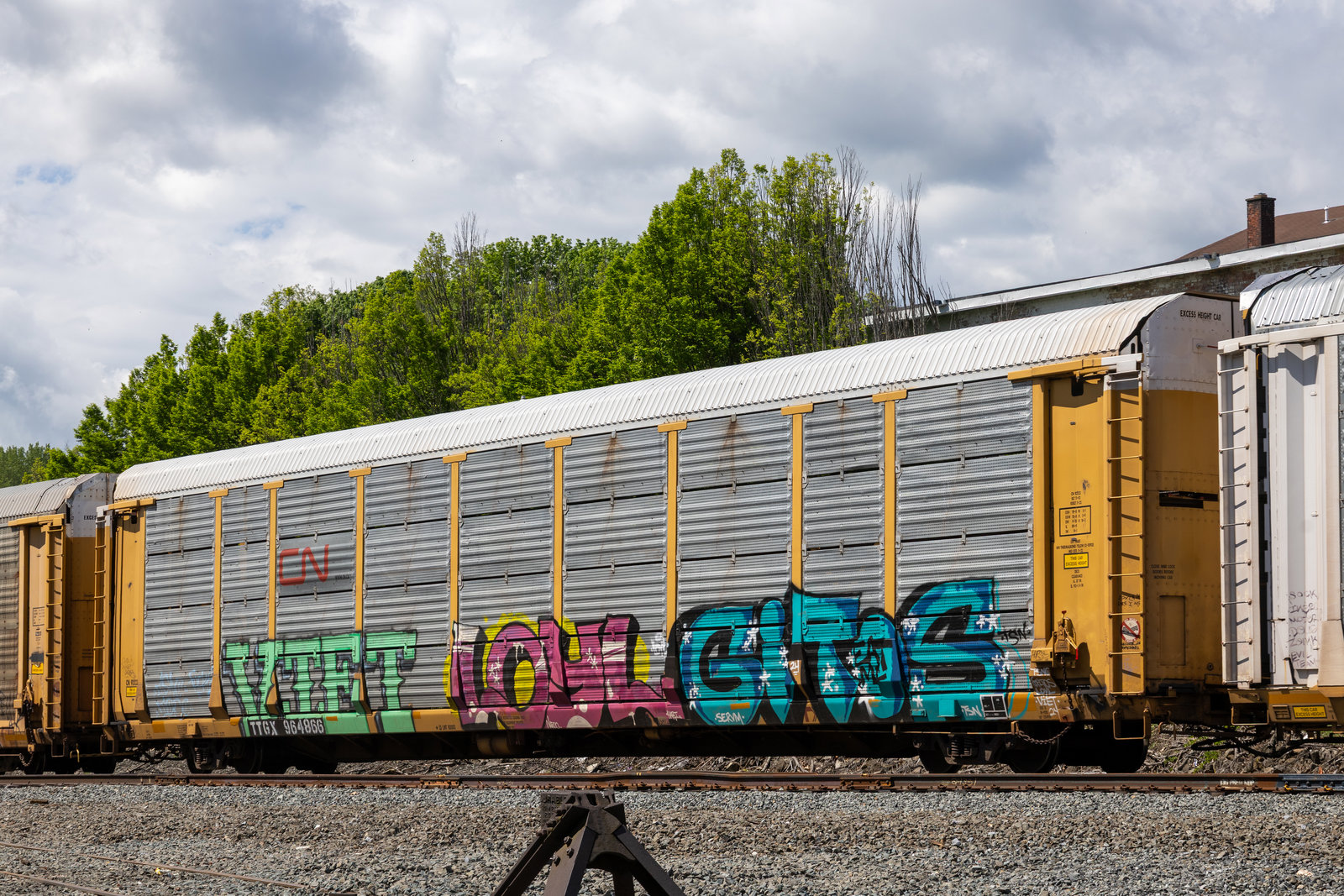 TTGX 964866