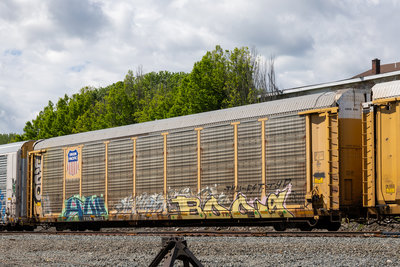 TTGX 994978