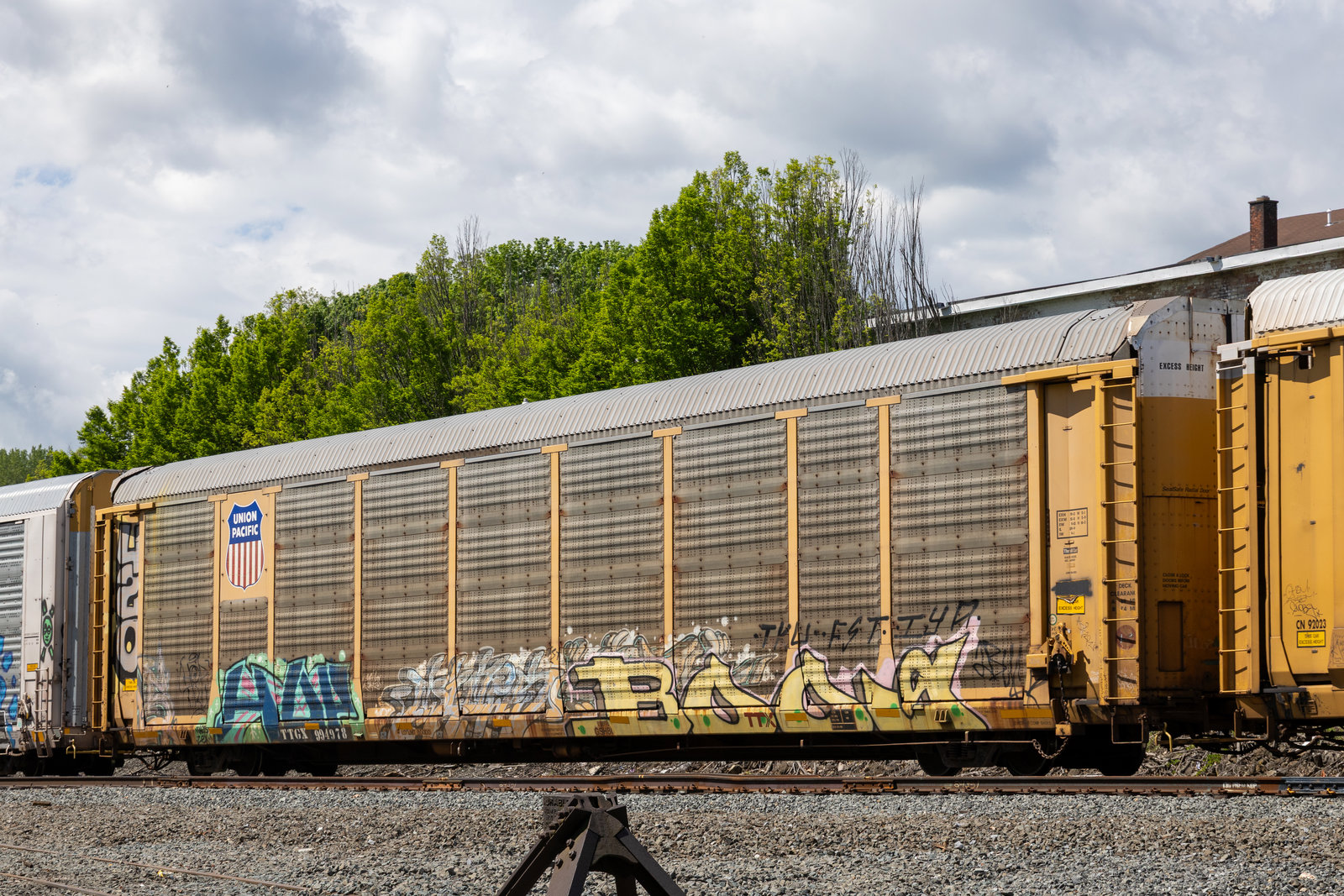 TTGX 994978