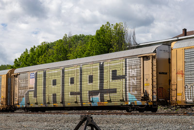TTGX 971593
