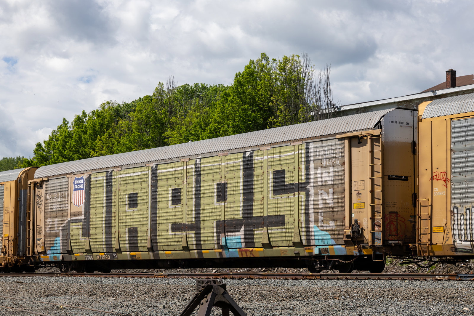 TTGX 971593