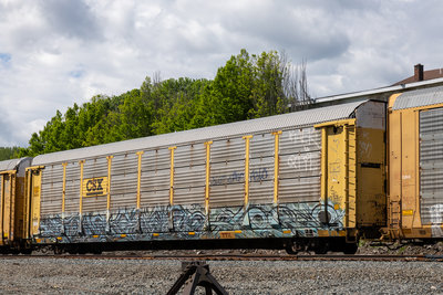 TTGX 980020