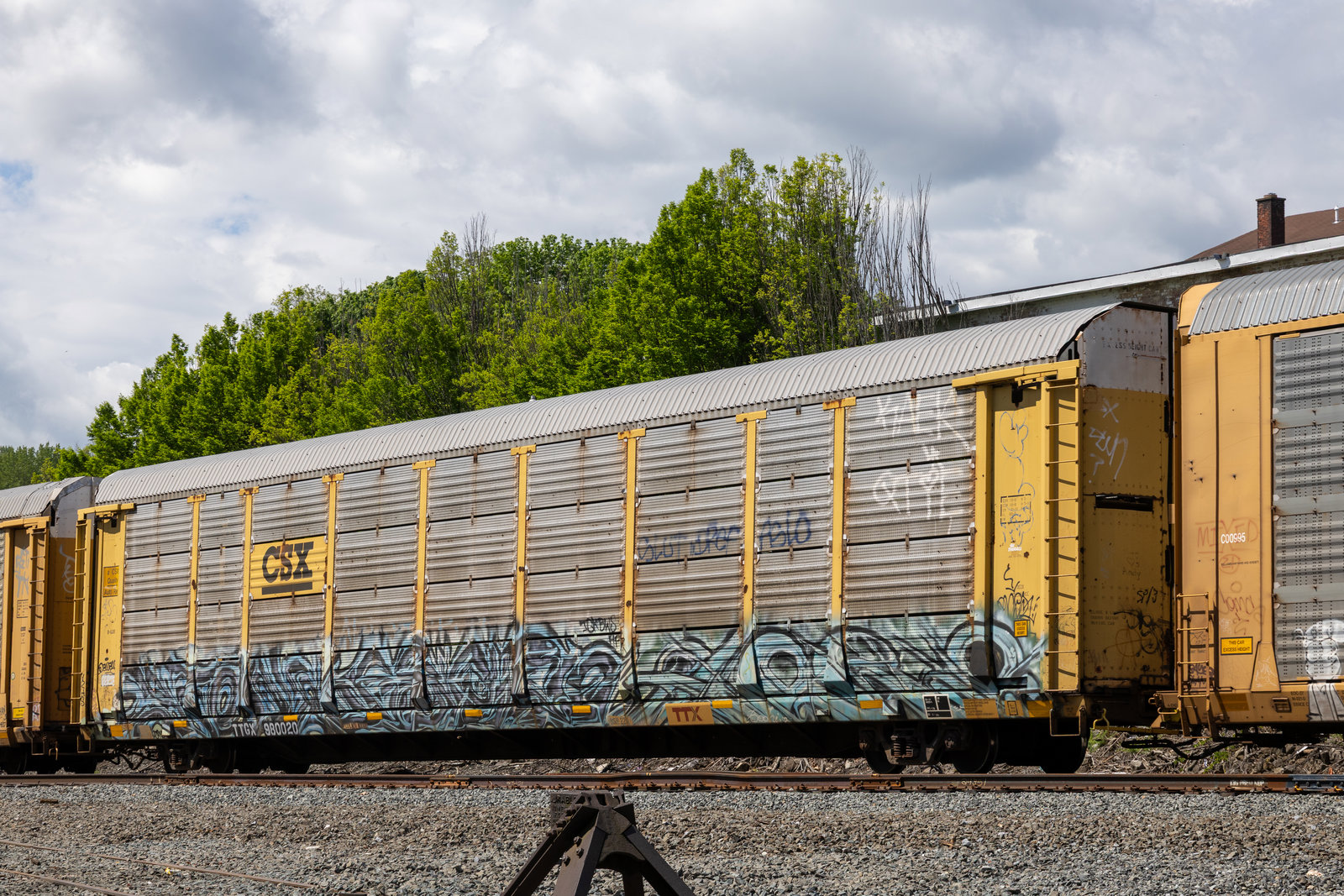 TTGX 980020