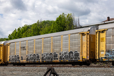 TTGX 996586