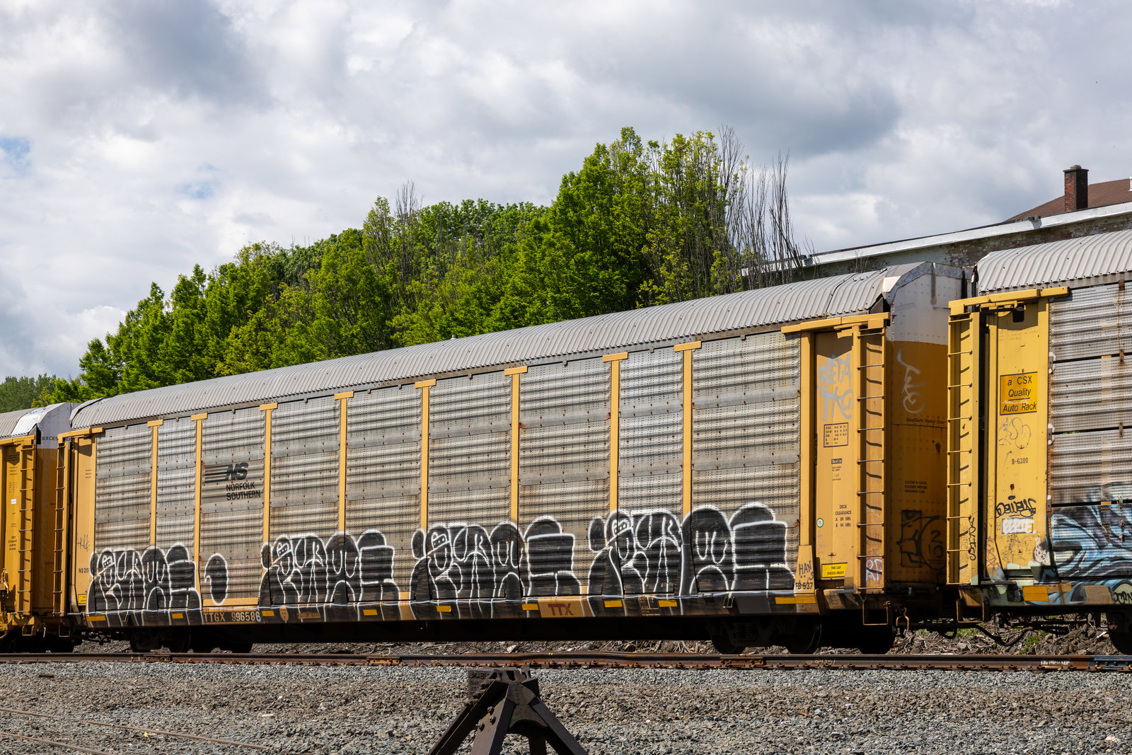 TTGX 996586