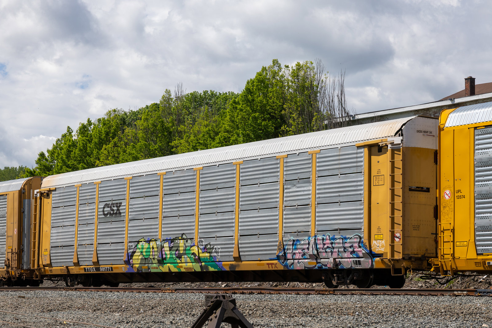 TTGX 981771
