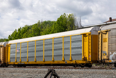 TTGX 993637