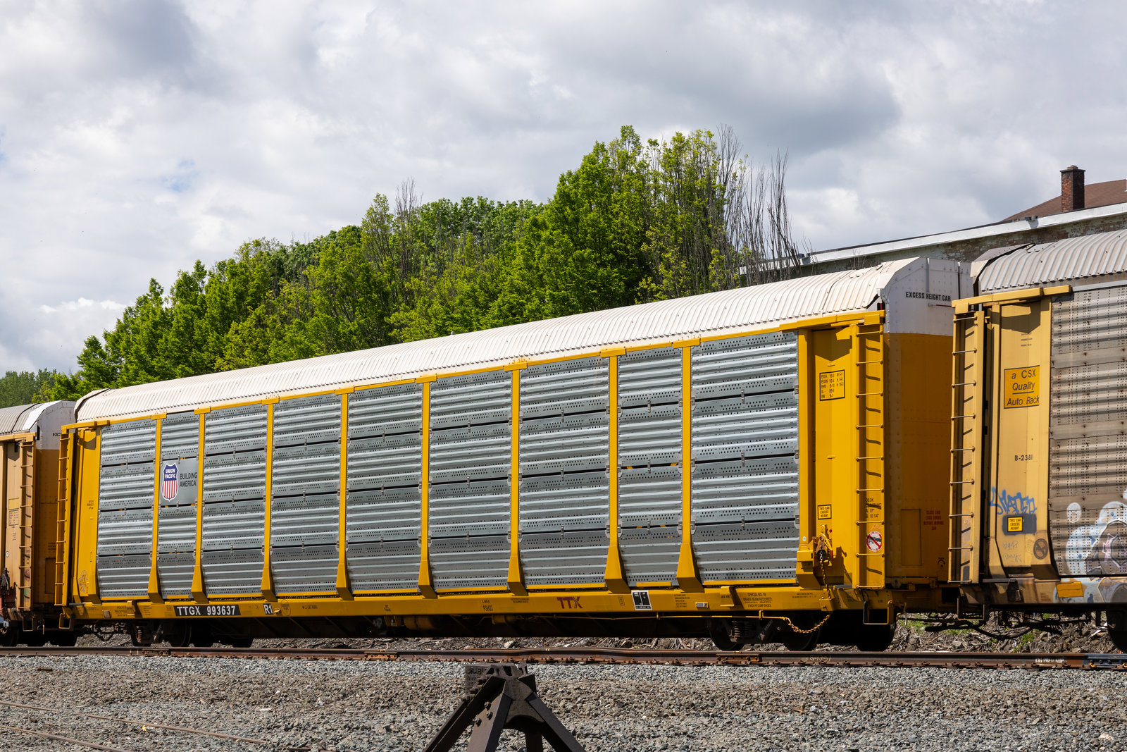 TTGX 993637