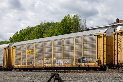 TTGX 996315