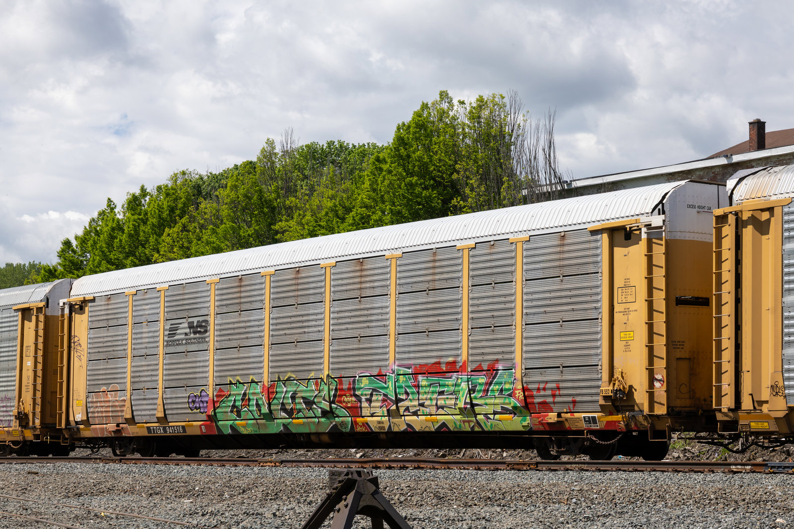 TTGX 941516