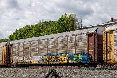 TTGX 991574