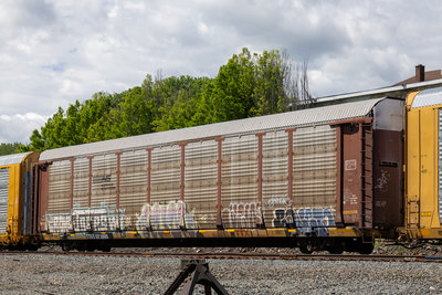 TTGX 973896