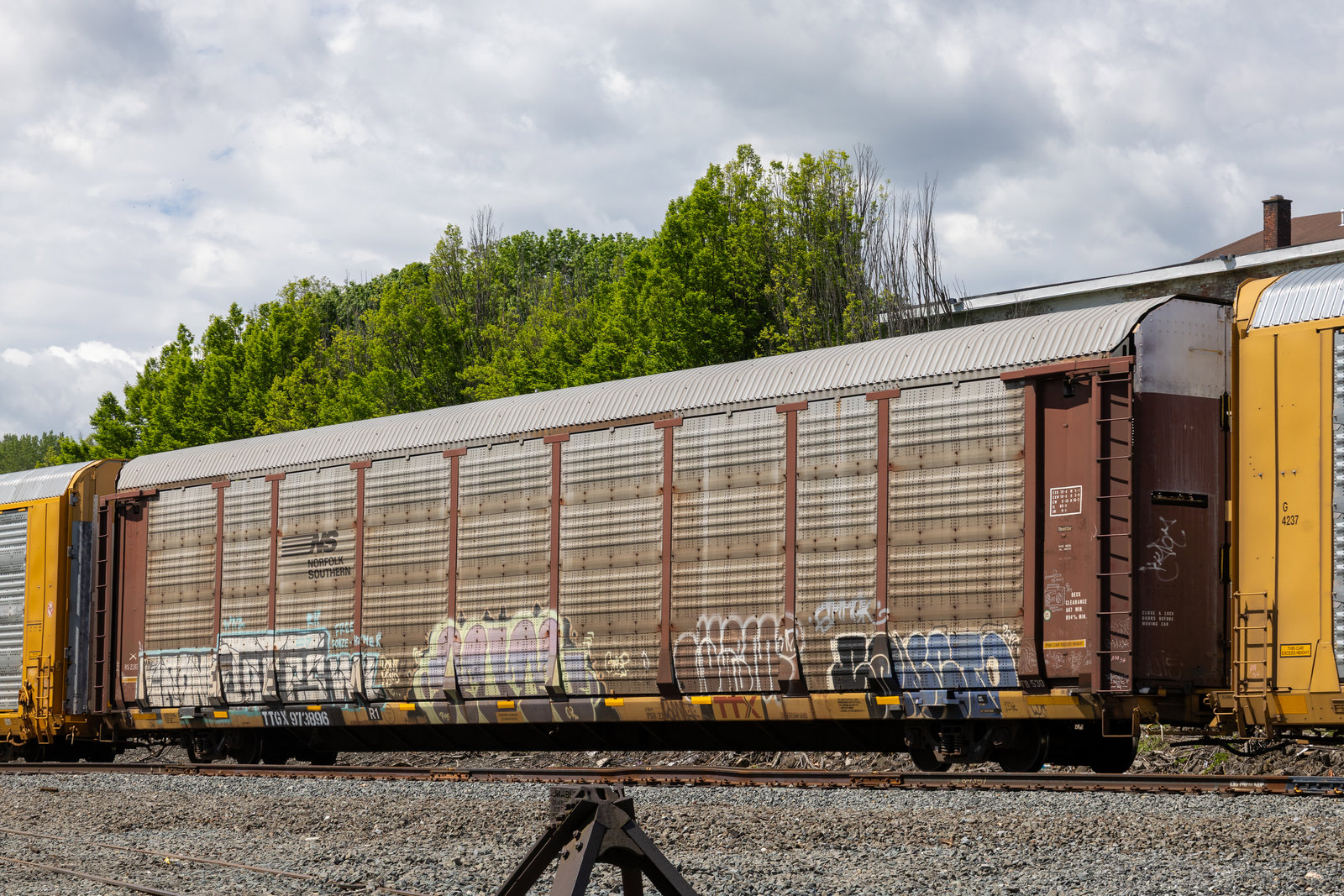 TTGX 973896